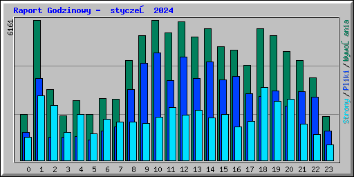 Raport Godzinowy -  styczeń 2024