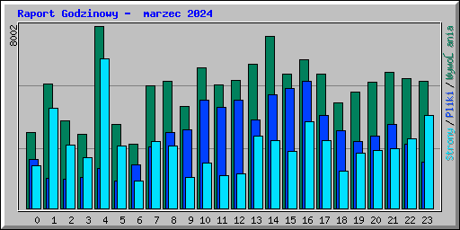 Raport Godzinowy -  marzec 2024