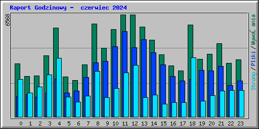 Raport Godzinowy -  czerwiec 2024
