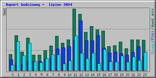 Raport Godzinowy -  lipiec 2024