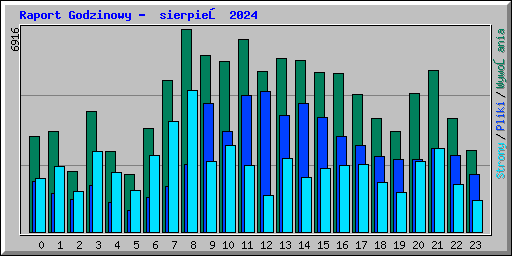 Raport Godzinowy -  sierpień 2024