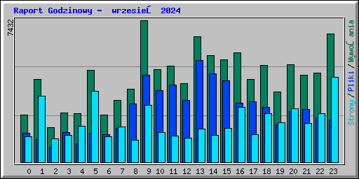 Raport Godzinowy -  wrzesień 2024