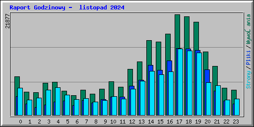 Raport Godzinowy -  listopad 2024