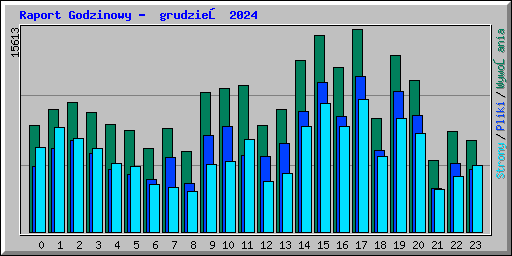 Raport Godzinowy -  grudzień 2024