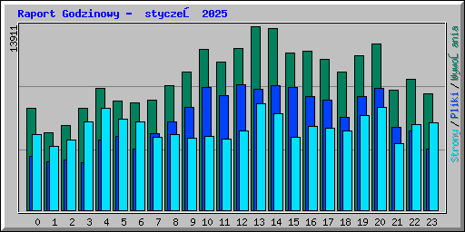 Raport Godzinowy -  styczeń 2025