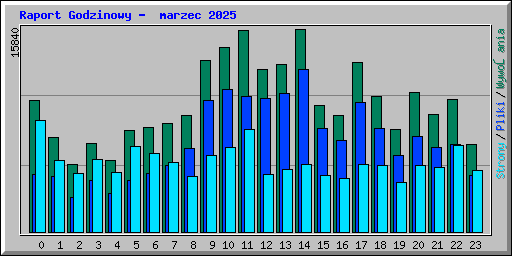 Raport Godzinowy -  marzec 2025