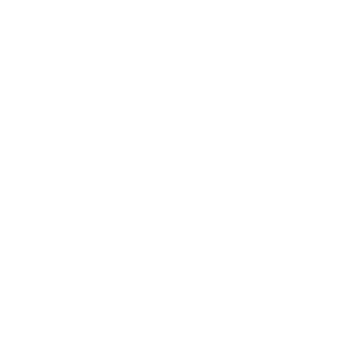 MEGIW Logo
